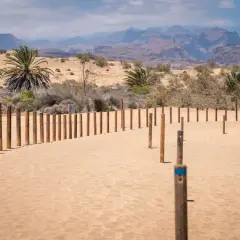 Drewniane słupki wyznaczają ścieżkę przez piaszczyste **dunas de Maspalomas**. W tle palmy i górzysty krajobraz.