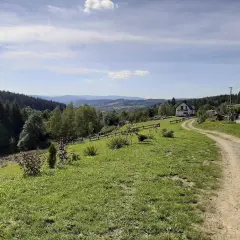 Droga wije się przez zielone wzgórza, prowadząc do domu na skraju lasu. Piękny widok na Beskidy, idealny na mały szlak beskidzki.