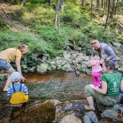 Rodzina bawi się w strumieniu na Baraniej Górze. Dziecko w żółtym ogrodniczkach cieszy się wodą.