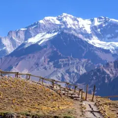 Widok na ośnieżone góry z Aconcagua, z kamienistym szlakiem i drewnianym ogrodzeniem na pierwszym planie.