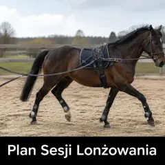 Trenerka prowadzi konia na lonży na piaskowej ujeżdżalni. Lonża to długi, elastyczny pas, który pozwala koniowi poruszać się po okręgu.