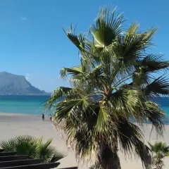 Sycylia w październiku: palmy na tle błękitnego morza i gór. Pusta plaża zachęca do spaceru.