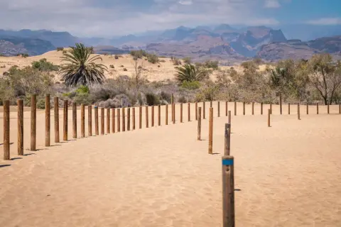 Drewniane słupki wyznaczają ścieżkę przez piaszczyste **dunas de Maspalomas**. W tle palmy i górzysty krajobraz.