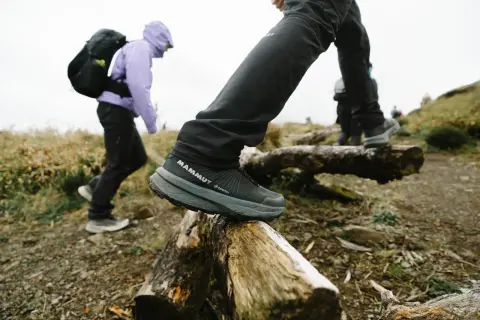Dobre buty w góry to klucz do bezpiecznej wędrówki. Na zdjęciu widać turystów w solidnych butach z membraną Gore-Tex, pokonujących przeszkody na szlaku.