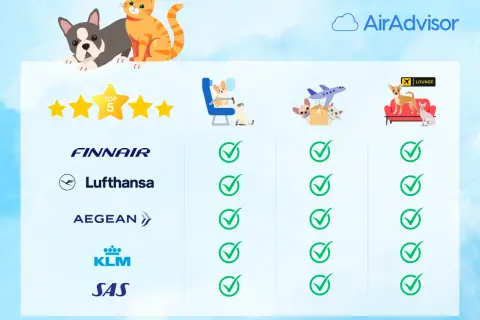 Porównanie linii lotniczych: Finnair, Lufthansa, Aegean, KLM, SAS. Sprawdź, jakie linie lotnicze pozwalają na przewóz zwierząt.