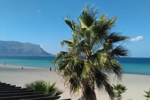 Sycylia w październiku: palmy na tle błękitnego morza i gór. Pusta plaża zachęca do spaceru.