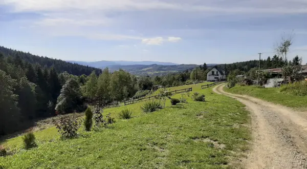 Droga wije się przez zielone wzgórza, prowadząc do domu na skraju lasu. Piękny widok na Beskidy, idealny na mały szlak beskidzki.