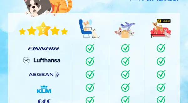 Porównanie linii lotniczych: Finnair, Lufthansa, Aegean, KLM, SAS. Sprawdź, jakie linie lotnicze pozwalają na przewóz zwierząt.