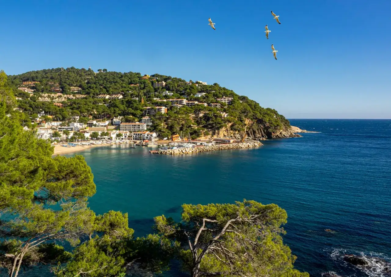 Widok na zatokę z białymi domkami, plażą i mariną. W oddali wzg&oacute;rze porośnięte sosnami. To idealne miejsce na odkrywanie atrakcji Costa Brava.