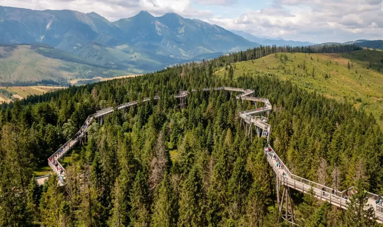 Ścieżka w koronach drzew w Bachledce, Słowacja, to jedno z najpiękniejszych miejsc, oferujące widok na Tatry.