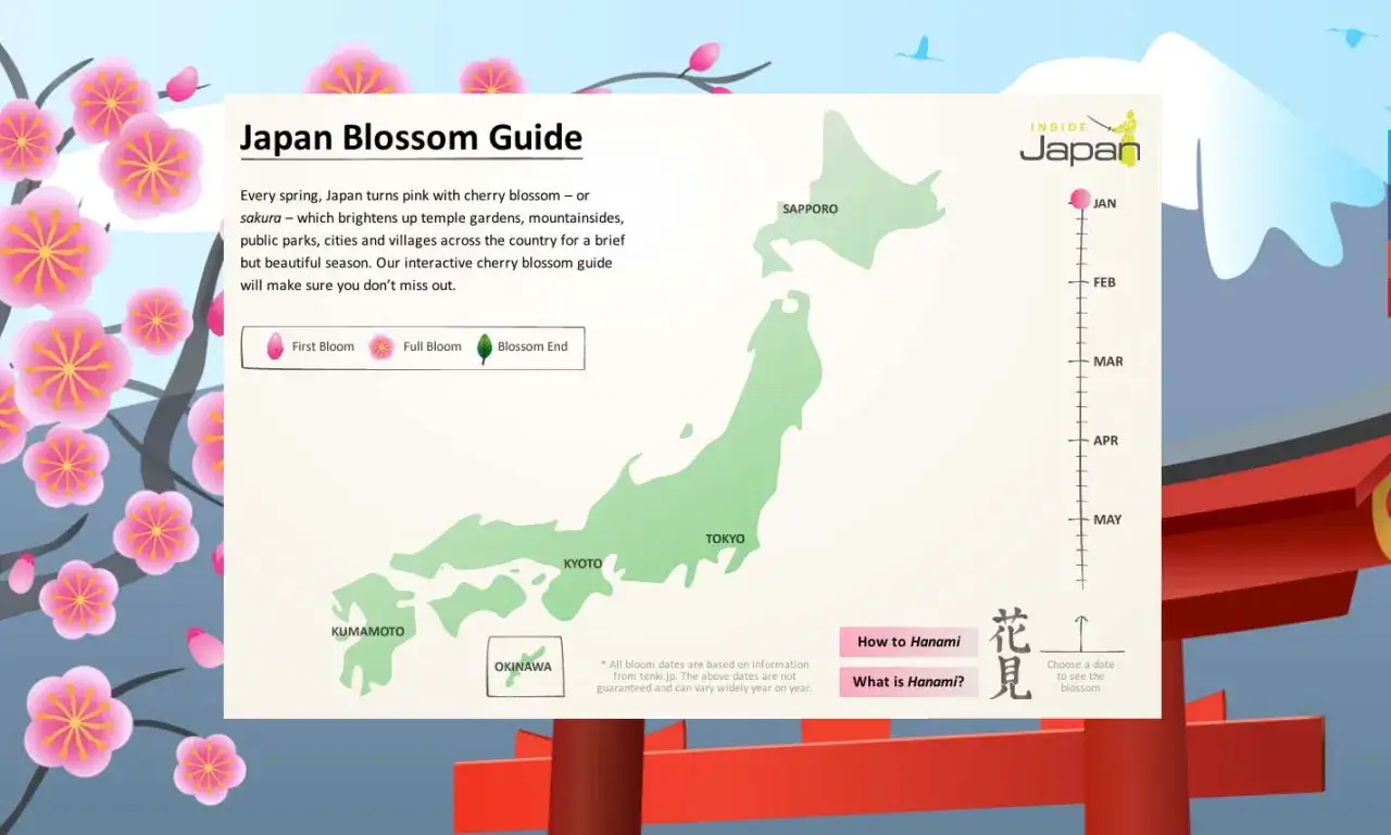 Przewodnik po kwitnieniu wiśni w Japonii. Dowiedz się, kiedy kwitną wiśnie w Japonii, aby nie przegapić tego pięknego zjawiska.