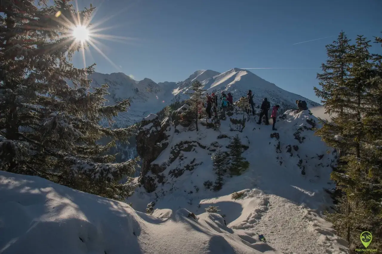 Grupa turyst&oacute;w podziwia zimowy krajobraz. Tatry w marcu, ośnieżone szczyty i słońce przebijające się przez gałęzie świerk&oacute;w.